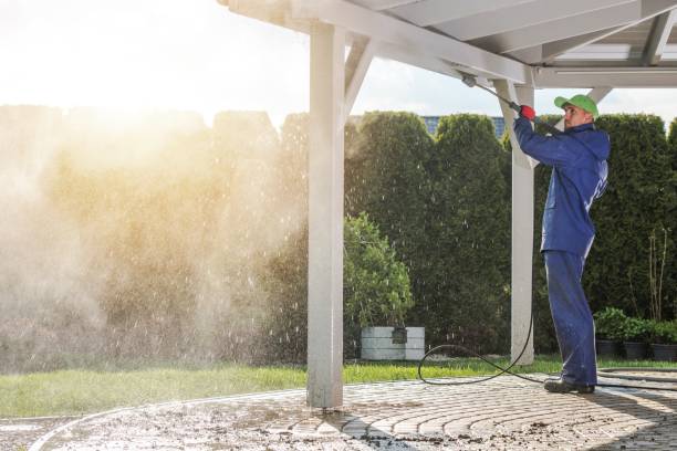 Best Driveway Pressure Washing  in Humboldt, IA